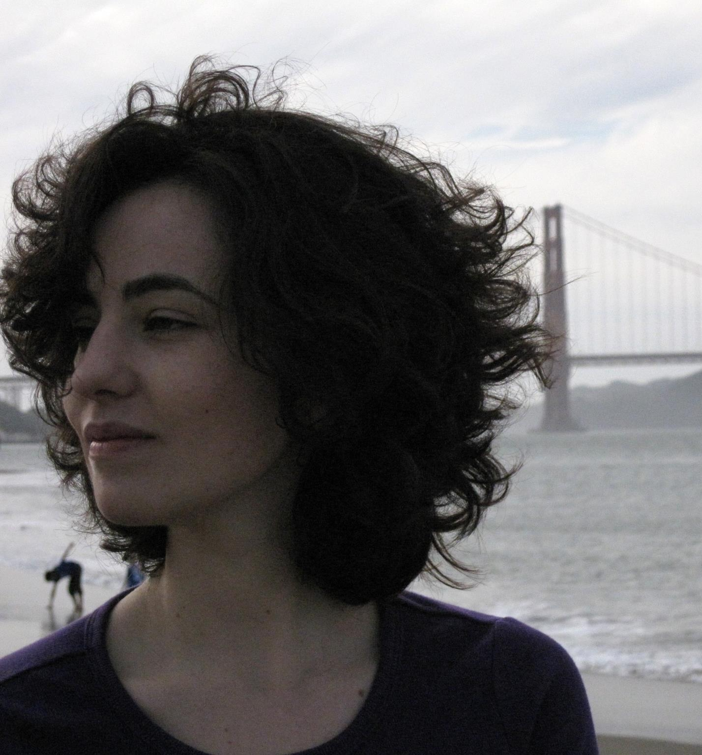 Elizabeth Gerber, PI